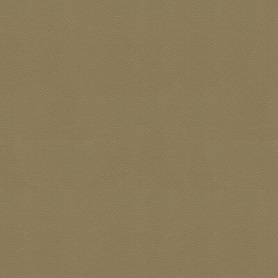 Kravet Couture SIDE KICK.106.0 Side Kick Upholstery Fabric in Taupe , Taupe , Taupe